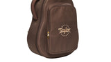 Estuche Semirígido Taylor AeroCase, GS Mini