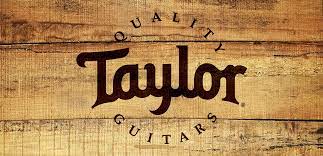 ¡5 cualidades de Taylor que te gustarán!