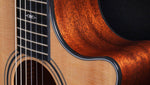 Guitarra Electroacústica Taylor 314ce-N