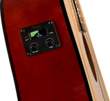 Guitarra Electroacústica Fender FA-125CE, Natural