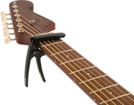 Capo Fender Laurel Acoustic