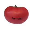 Shaker Tycoon (1PZ)